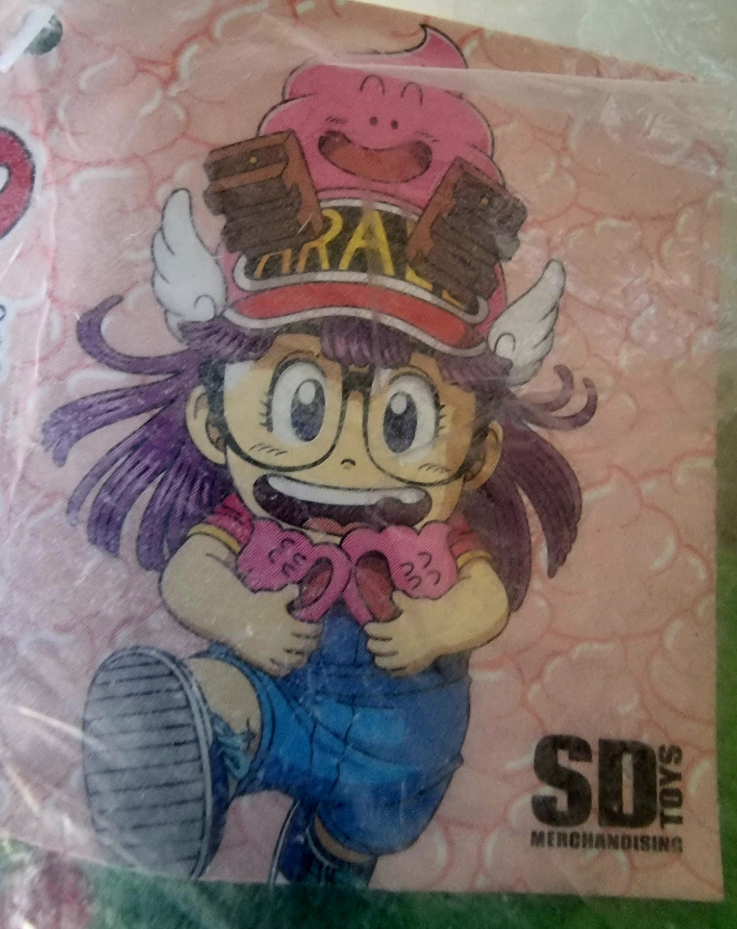 CUSCINO DR. SLUMP & ARALE