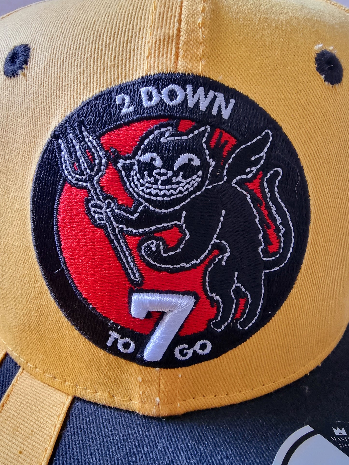 CAPPELLO WOLFENSTEIN