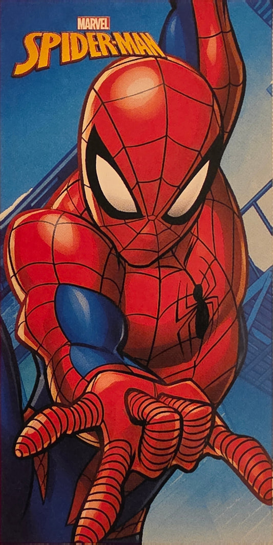 TELO DA MARE SPIDER-MAN